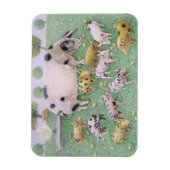 Das Apple Fest Magnet (Vertikal)