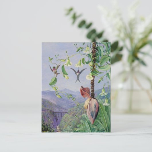 Das Aquädukt von Morro Velho, Brasilien, Marianne Postkarte (Stehend Vorderseite)