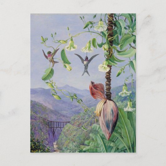 Das Aquädukt von Morro Velho, Brasilien, Marianne Postkarte (Vorderseite)