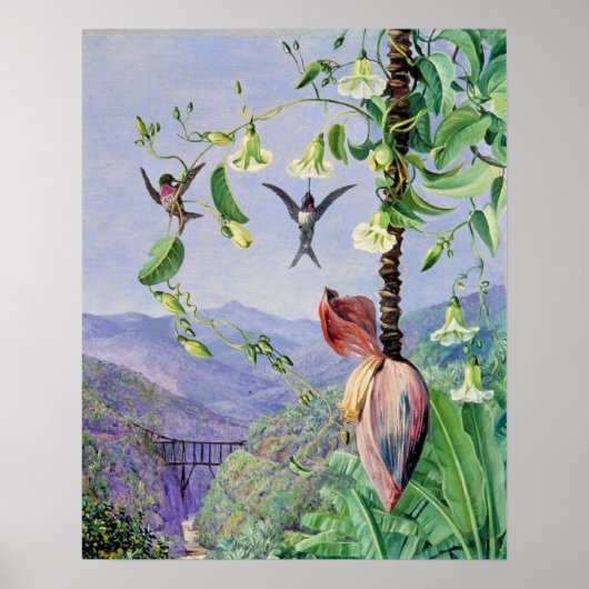 Das Aquädukt von Morro Velho Poster (Vorne)