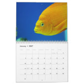 Das Aquarium Kalender (Jan 2027)