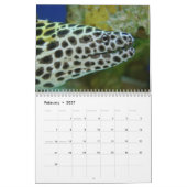 Das Aquarium Kalender (Feb 2027)