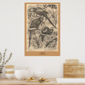 Das Ara Poster (Küche)