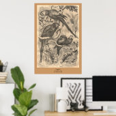 Das Ara Poster (Heimbüro)