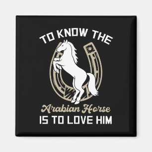 Das arabische Pferd zu kennen, heißt, ihm Liebe zu Magnet