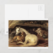 Das arabische Zelt von Edwin Henry Landseer Postkarte (Vorne/Hinten)
