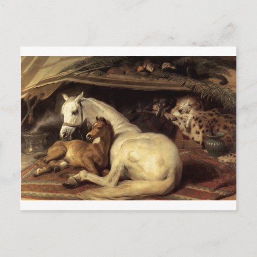 Das arabische Zelt von Edwin Henry Landseer Postkarte (Vorderseite)