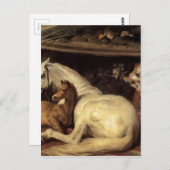 Das arabische Zelt von Edwin Henry Landseer Postkarte (Vorne/Hinten)