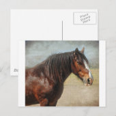 Das Arbeitstier Postkarte (Vorne/Hinten)