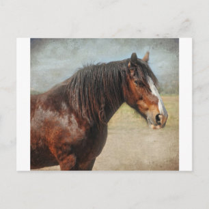 Das Arbeitstier Postkarte