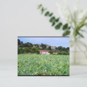 Das Artischockenfeld Postkarte (Stehend Vorderseite)
