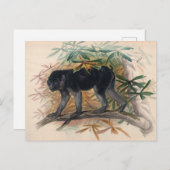 Das Ashy-Black Ape von Joseph Wolf Postkarte (Vorne/Hinten)