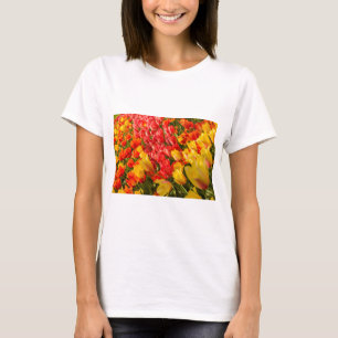 DAS AUFBLÜHEN VON TULPEN IN EINEM PARK-T-SHIRT T-Shirt