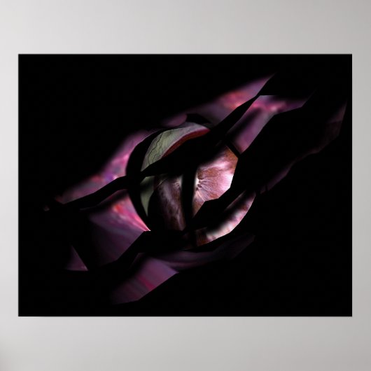 Das Auge des Drachen reißt durch Poster (Vorne)