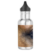 Das Auge des Geistes Trinkflasche (Links)
