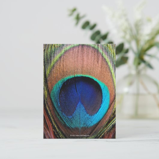 Das Auge des Pfauenfeders Nah-up Postkarte (Stehend Vorderseite)