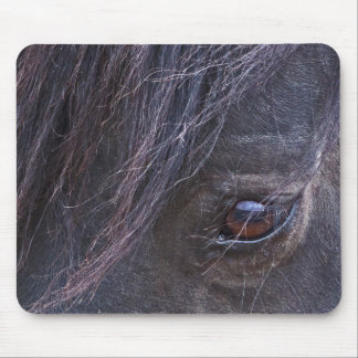 Das Auge des Pferds Mousepad