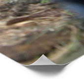 DAS AUGE DES SCHNITTERS POSTER (Ecke)