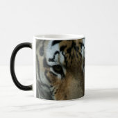 Das Auge des Tigers Verwandlungstasse (Links)