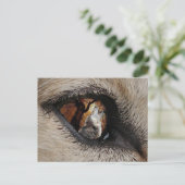 Das Auge des Wolfs Postkarte (Stehend Vorderseite)