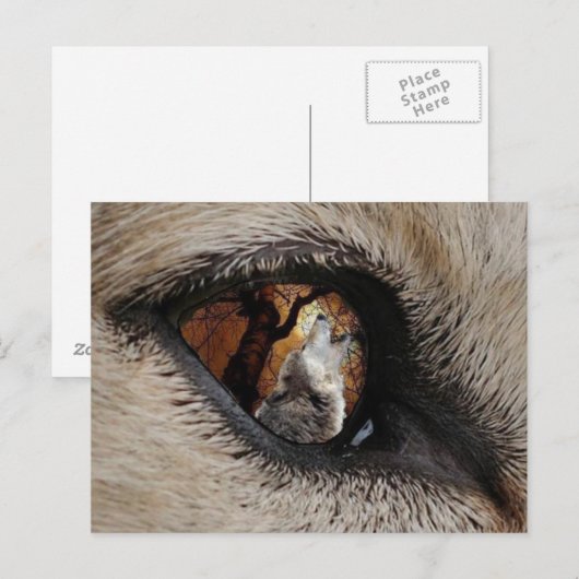 Das Auge des Wolfs Postkarte (Vorne/Hinten)
