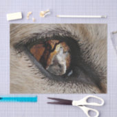 Das Auge des Wolfs Seidenpapier (Handwerk)