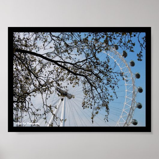 Das Auge durch Herbstlaub Poster (Vorne)