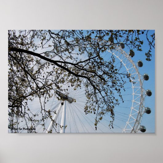 Das Auge durch Herbstlaub Poster (Vorne)