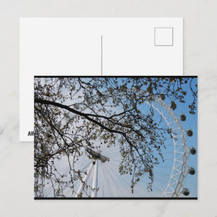 Das Auge durch Herbstlaub Postkarte