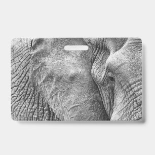 Das Auge eines Elefanten Ausweis
