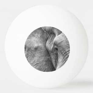 Das Auge eines Elefanten Tischtennisball