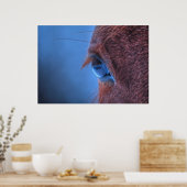 Das Auge eines liebenden Sorrel Pferdes Poster (Küche)