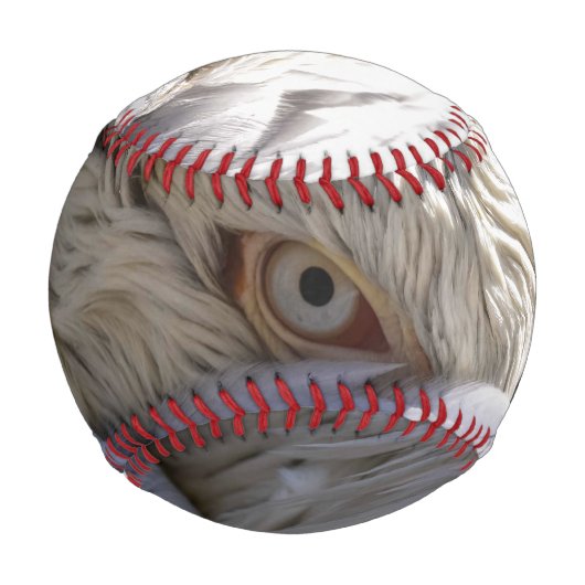 Das Auge eines Pelikanen Baseball (Vorderseite)