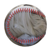 Das Auge eines Pelikanen Baseball (Vorderseite Links)