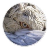 Das Auge eines Pelikanen Keramikknauf (Vorderseite)