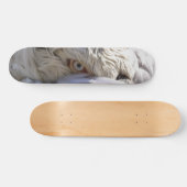 Das Auge eines Pelikanen Skateboard (Horizontal)