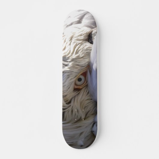 Das Auge eines Pelikanen Skateboard (Vorne)