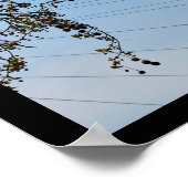 Das Auge im Herbst Poster (Ecke)