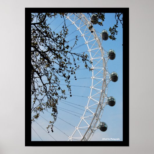 Das Auge im Herbst Poster (Vorne)