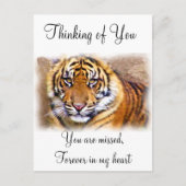 Das Auge sieht_ Postkarte (Vorderseite)