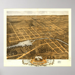 Das Augen-Ansicht des Vogels von Naperville Poster