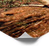 Das australische Outback Poster (Ecke)