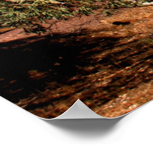 Das australische Outback Poster (Ecke)