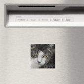 Das Baby-Look Magnet (In Situ (Geschirrspüler))
