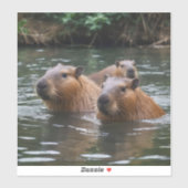das Baden von Capybaras im Fluss, Aufkleber (Blatt)