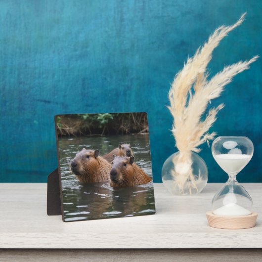 das Baden von Capybaras im Fluss, Fotoplatte (InSitu)