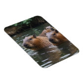 das Baden von Capybaras im Fluss, Magnet (Rechte Seite)