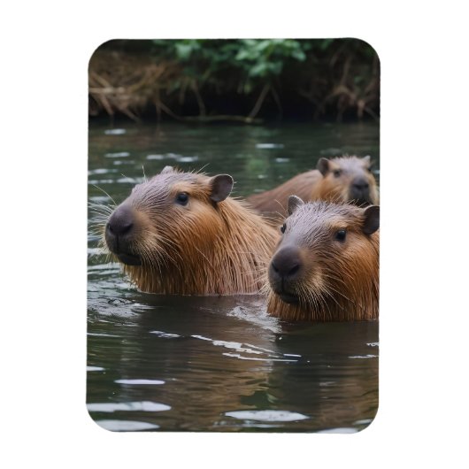 das Baden von Capybaras im Fluss, Magnet (Vertikal)