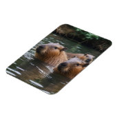 das Baden von Capybaras im Fluss, Magnet (Linke Seite)
