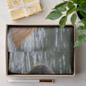 das Baden von Capybaras im Fluss, Seidenpapier (Geschenk)